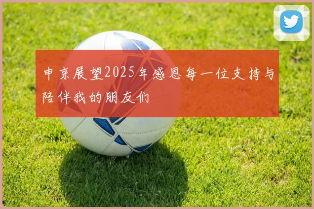 申京展望2025年感恩每一位支持与陪伴我的朋友们