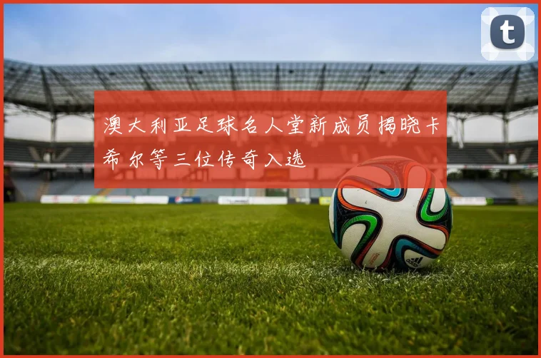 澳大利亚足球名人堂新成员揭晓卡希尔等三位传奇入选
